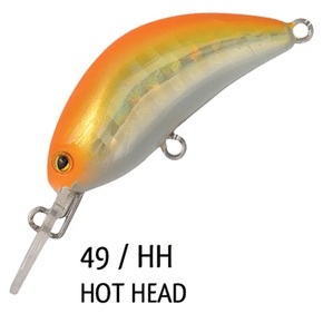 Nunc congue dui nec...