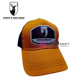 Nunc congue dui nec...