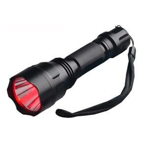 Nunc congue dui nec...