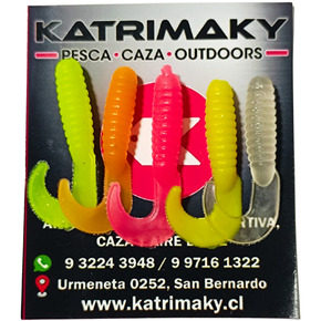 Nunc congue dui nec...