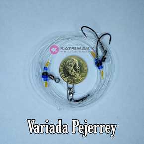 Nunc congue dui nec...