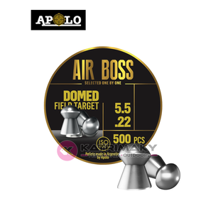 Nunc congue dui nec...