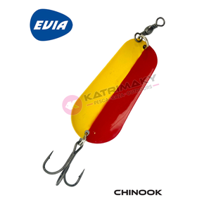 Nunc congue dui nec...