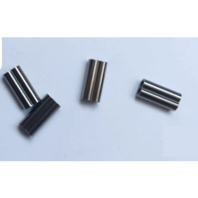 Nunc congue dui nec...