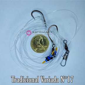 Nunc congue dui nec...