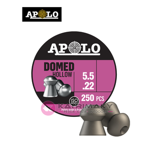 Nunc congue dui nec...