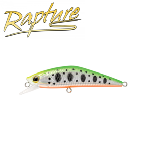 Nunc congue dui nec...