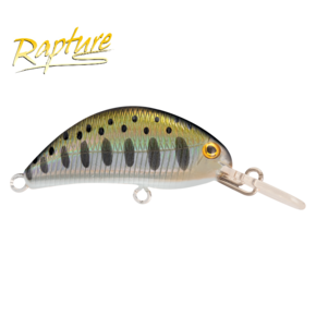 Nunc congue dui nec...