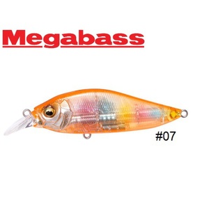 Nunc congue dui nec...