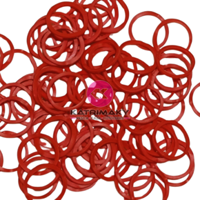 Nunc congue dui nec...