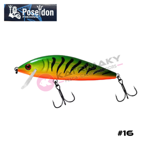 Nunc congue dui nec...