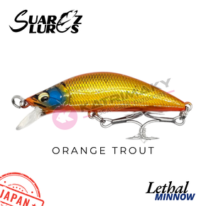 Nunc congue dui nec...