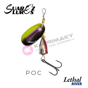 Nunc congue dui nec...