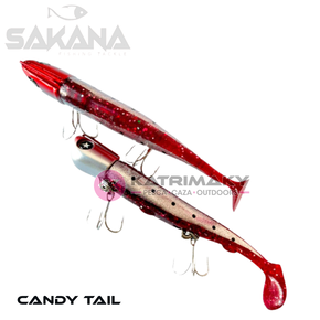 Nunc congue dui nec...