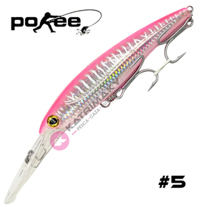 Nunc congue dui nec...