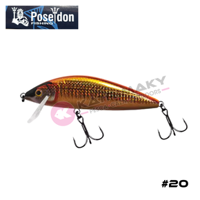 Nunc congue dui nec...