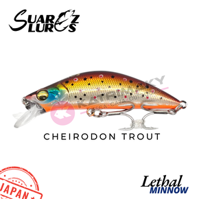 Nunc congue dui nec...