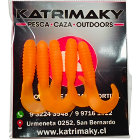 Nunc congue dui nec...