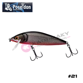 Nunc congue dui nec...