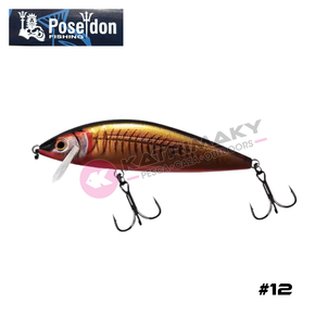 Nunc congue dui nec...